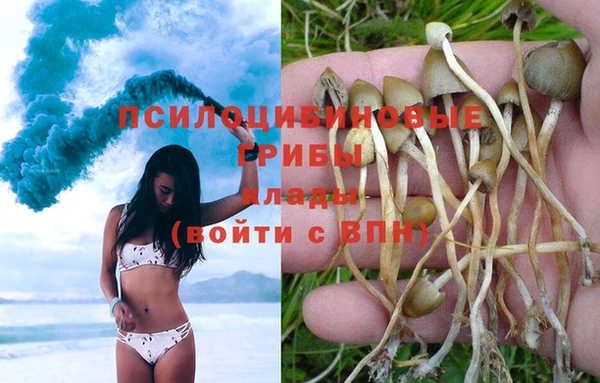 a pvp Абинск