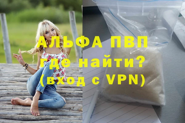 сатива Аркадак