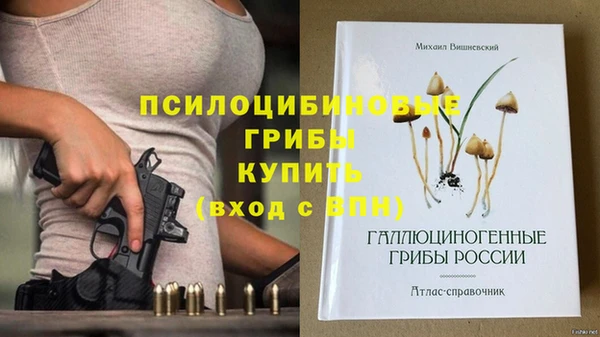 спиды Армянск