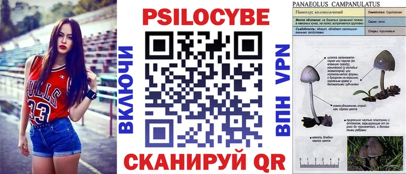 Псилоцибиновые грибы мухоморы  Сыктывкар 
